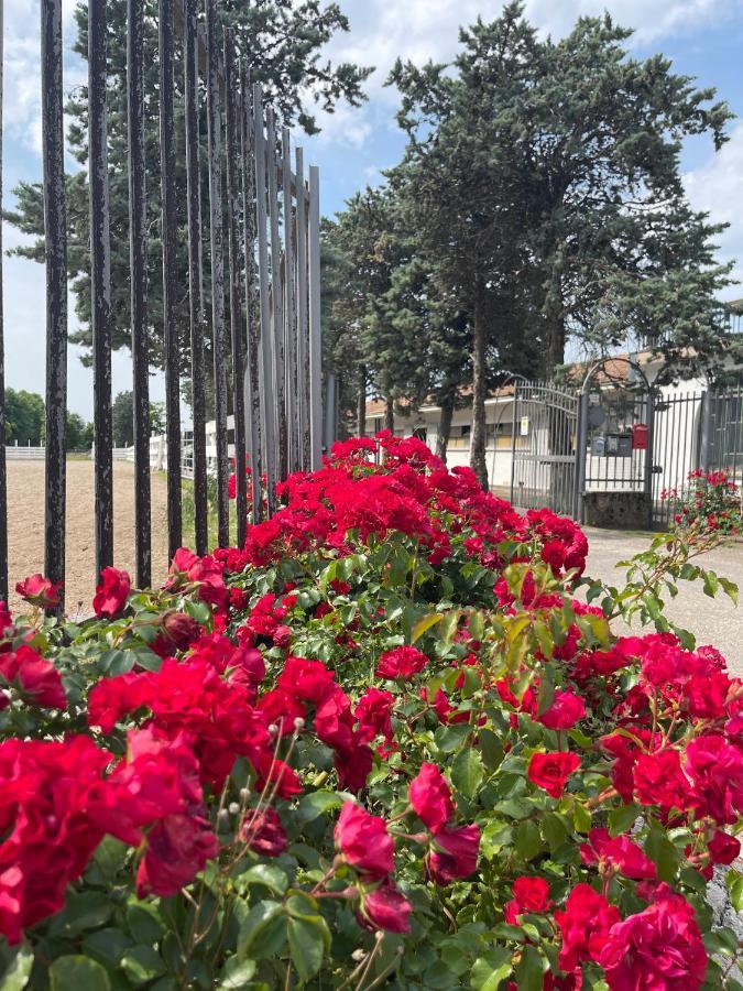 Agriturismo Monteroseo Bedizzole Dış mekan fotoğraf